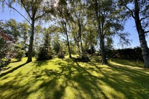 Garten