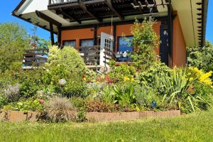 Blick vom Garten Terrasse